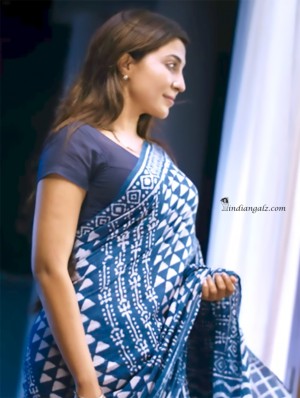 Parvathi Nair hot sexy saree Koditta 10 (1)